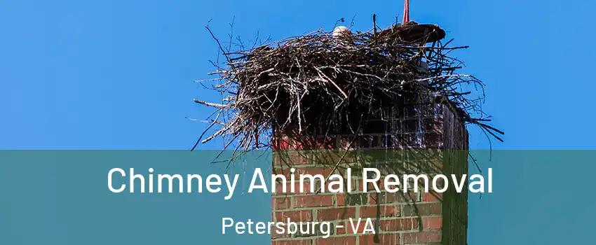 Chimney Animal Removal Petersburg - VA