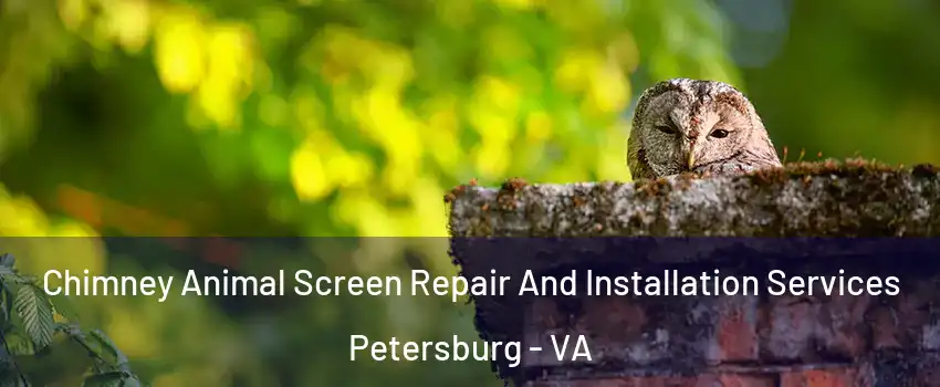  Chimney Animal Screen Repair And Installation Services Petersburg - VA