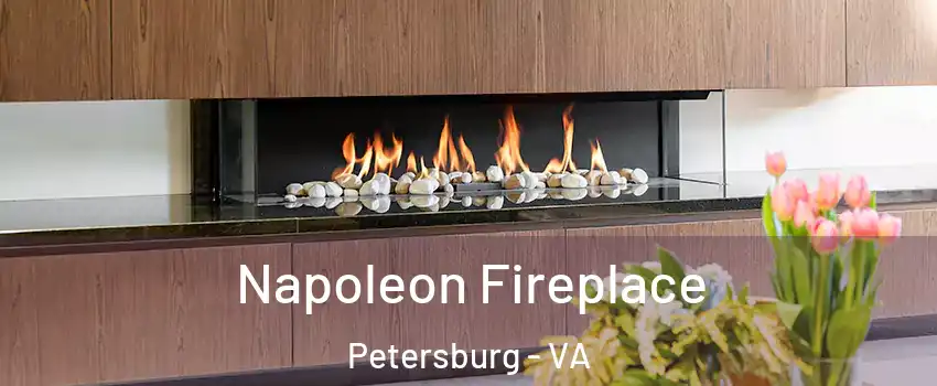  Napoleon Fireplace Petersburg - VA
